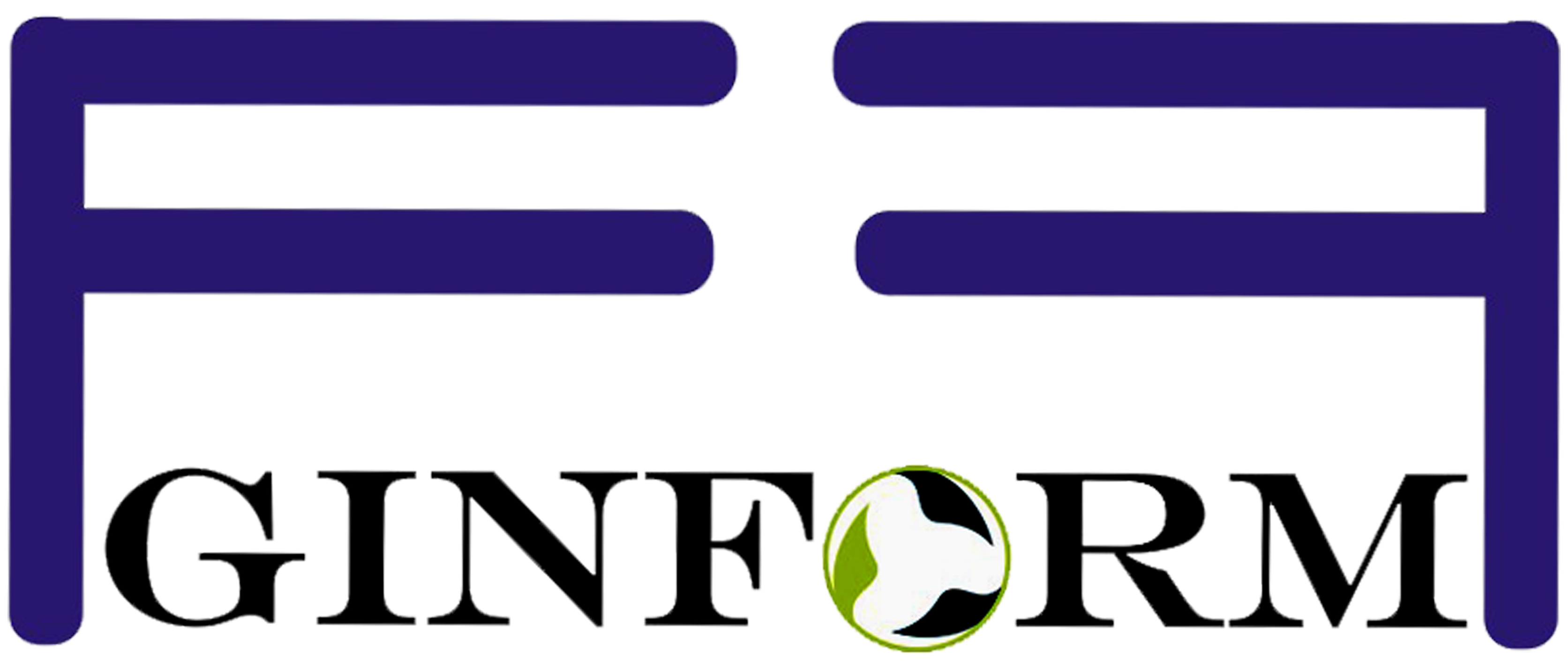 GINFORM